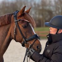 ornslund_dressage