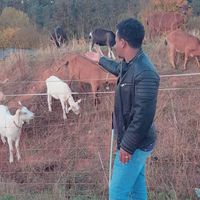 alhassan6291