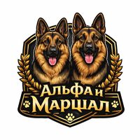 plushkin_12