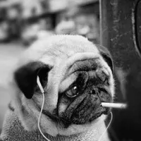 original sound - spookename