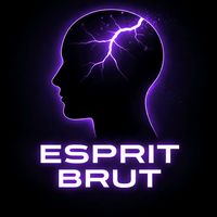 monespritbrut
