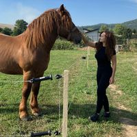 dianaandreea976