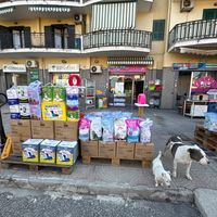 piccolozoogiugliano