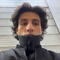 _denisbirgovan_