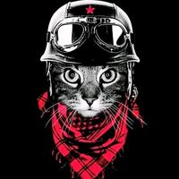 don_gato.el_antipetrista