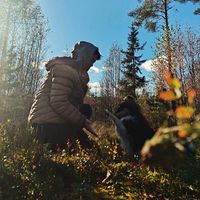 ineandthedogs