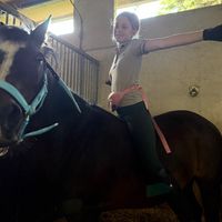 _horse855