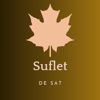 suflet.de.sat