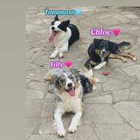 lilly.chloe2023