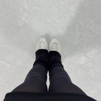 iris.skating