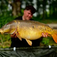 carpy_brandon