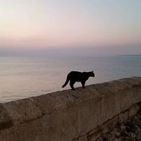 aly_isa05