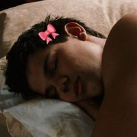 _shy_wolf_skyler