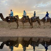 mahdi090273