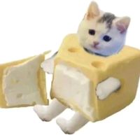 xeditcheesy