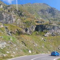 aitoneancorina0