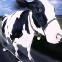 slavhandlare78