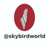 skybirdworld