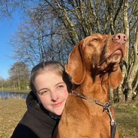 assistenzhund_jules