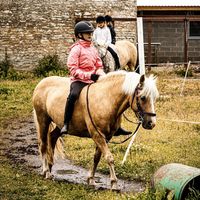 eq_sanna11