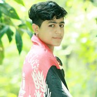 salimharoonzai1