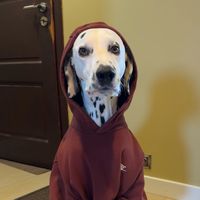 olaispolka
