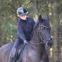 wm__equestrian