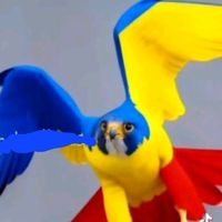 الصوت الأصلي