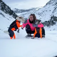 original sound - _wildpawsadventures