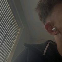nytr__