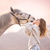 a_equit26