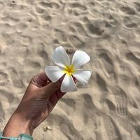 user_ks120