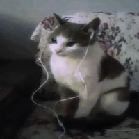esme.3170