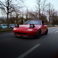 the.guy5069