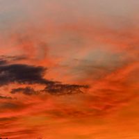 venere_06