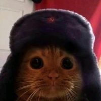 niko26905