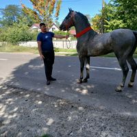 mocanumihai07