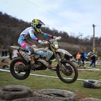 n.dimitrov_285