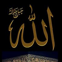 amirali20033