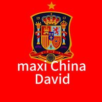maxichinadavids.l