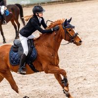 ll._equestrian