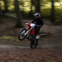 zigo_cr