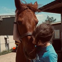 sophia._sj
