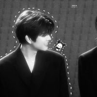 strayplnks