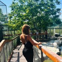 iuliayqsr49