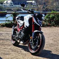 lena.hornet750