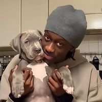 leuz_officiell_2