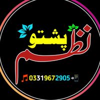 نظم