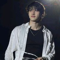 skz_fan0230