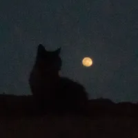 original sound - h3ll0ketty